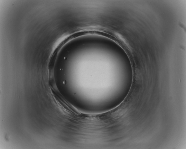X0000098201320200804241243