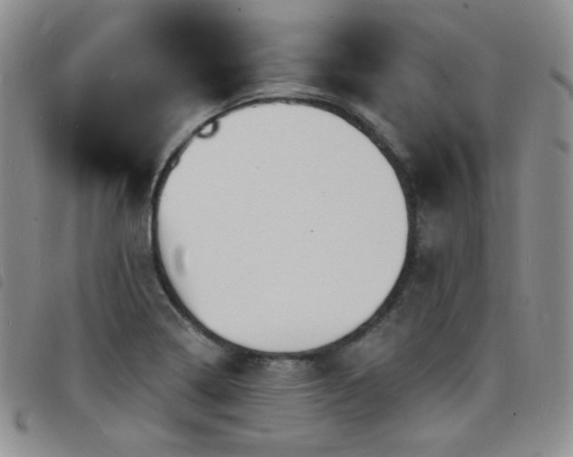 X0000098201322200804241243