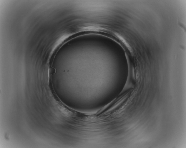 X0000098201323200804241243