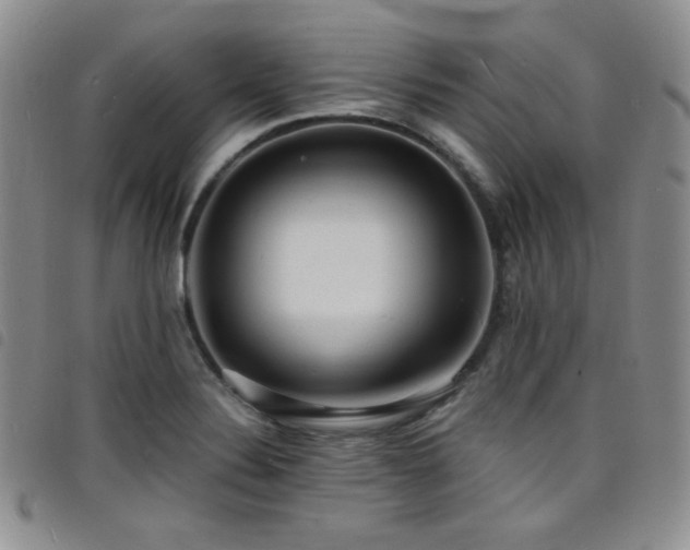 X0000098201324200804241243