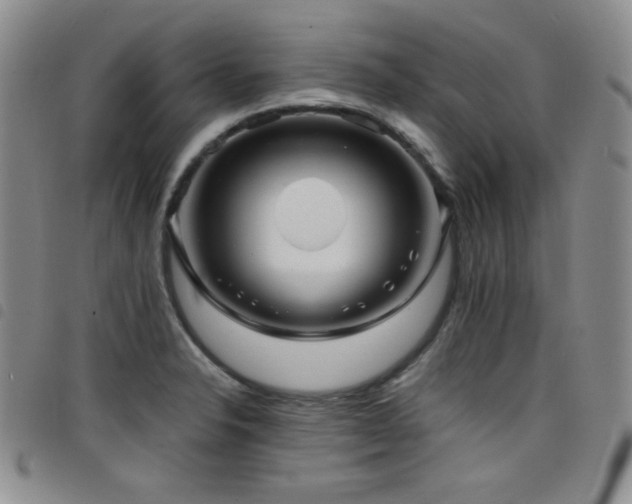 X0000098201326200804241243