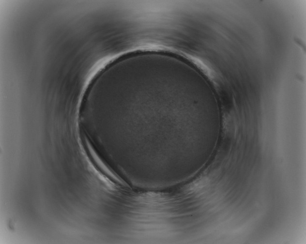 X0000098201327200804241243