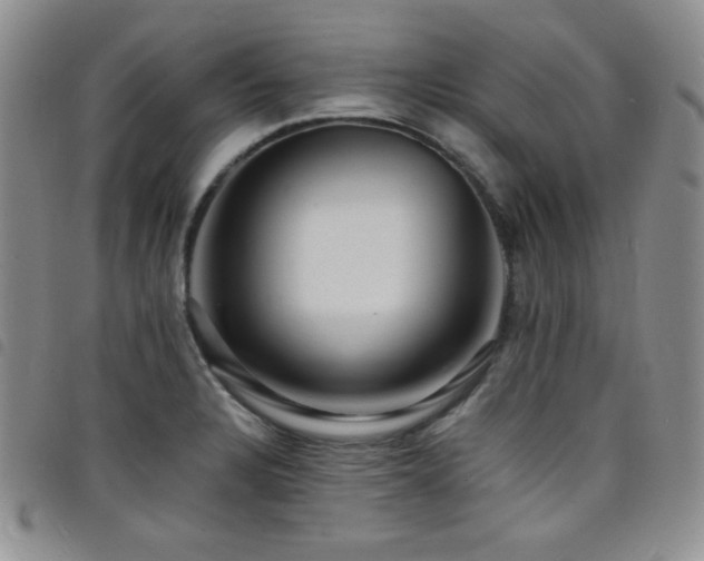 X0000098201328200804241244