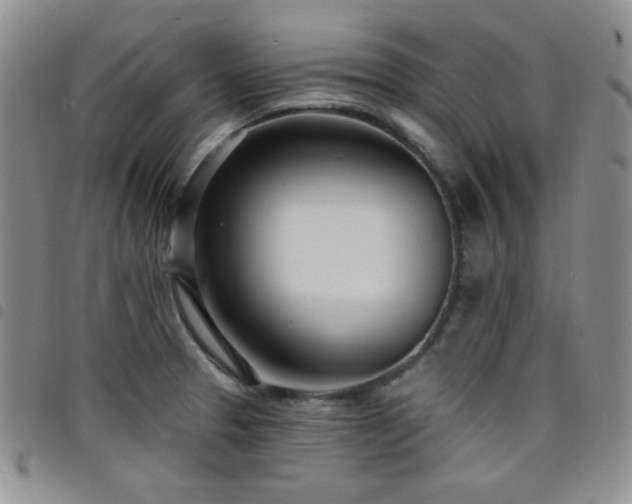 X0000098201329200804241244