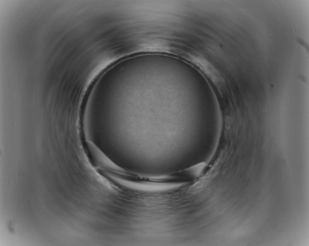 X0000098201331200804241244