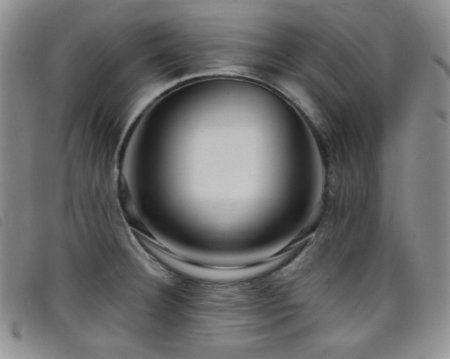 X0000098201332200804241244