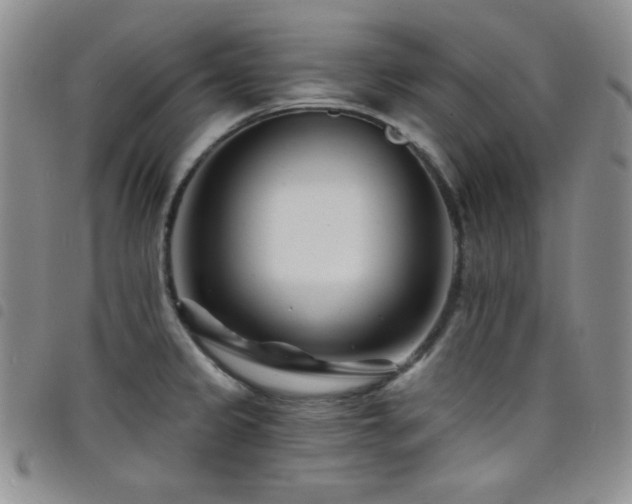 X0000098201333200804241244
