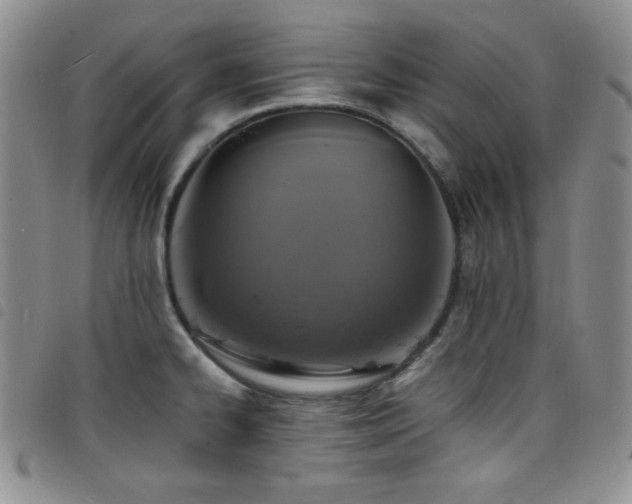 X0000098201334200804241244