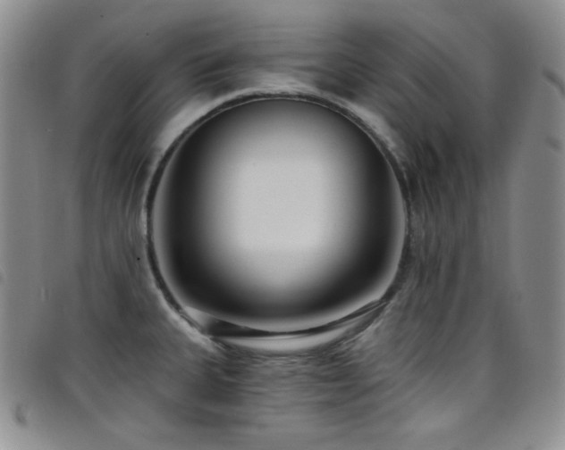 X0000098201335200804241244