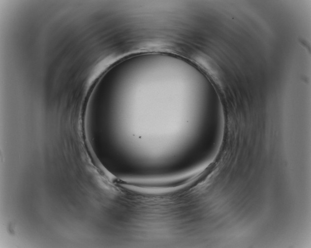 X0000098201336200804241244