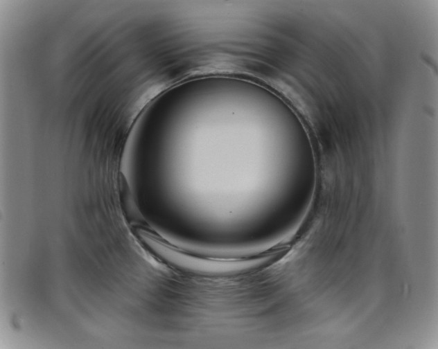 X0000098201337200804241244