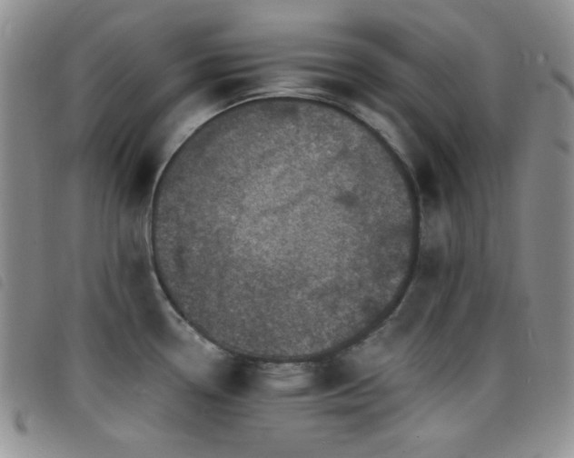 X0000098201338200804241244