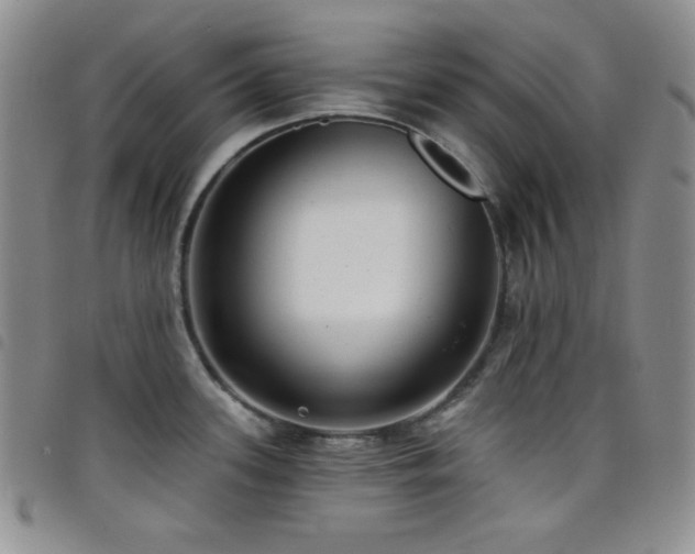 X0000098201339200804241244
