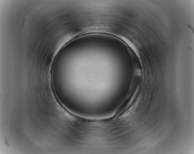 X0000098201341200804241244