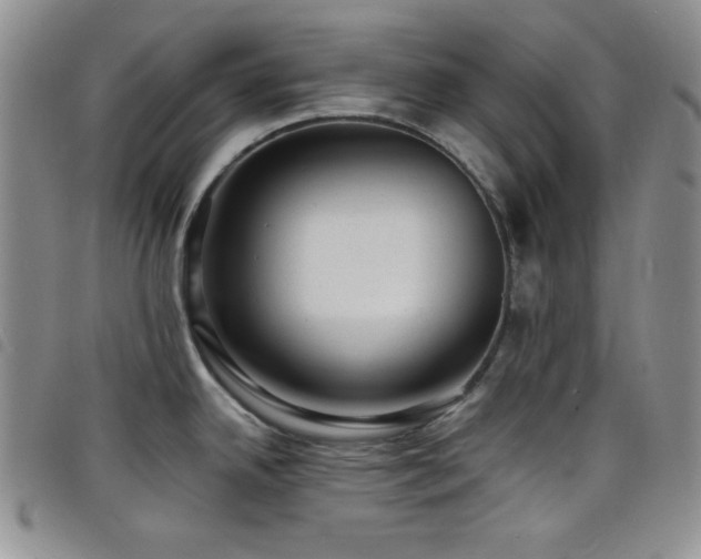 X0000098201342200804241244