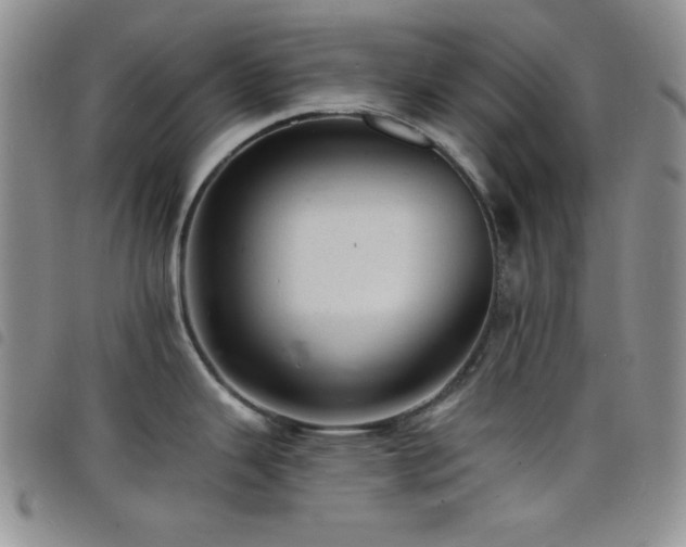X0000098201343200804241244