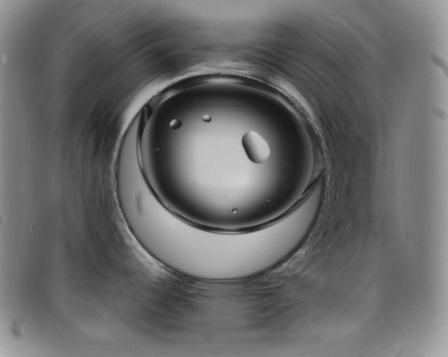 X0000098201344200804241244