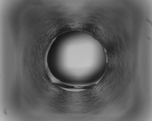 X0000098201345200804241243