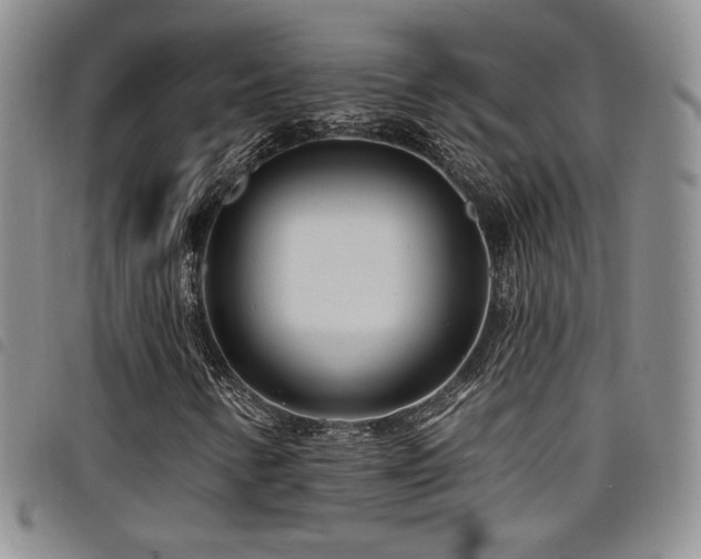 X0000098201346200804241243