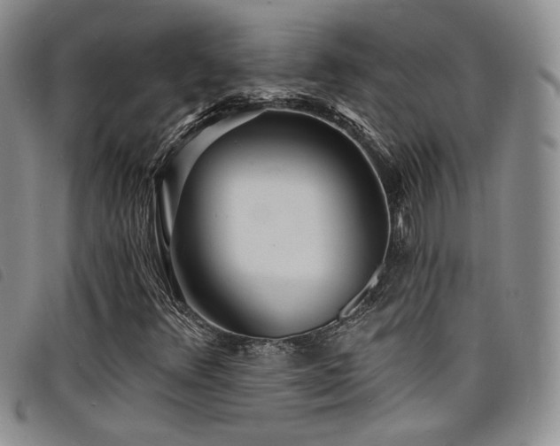X0000098201348200804241243