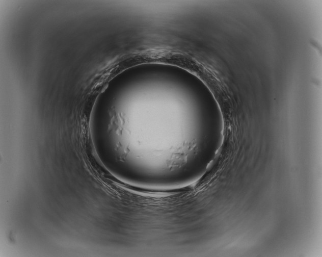 X0000098201349200804241243