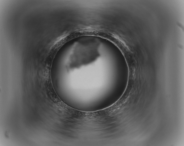 X0000098201350200804241243