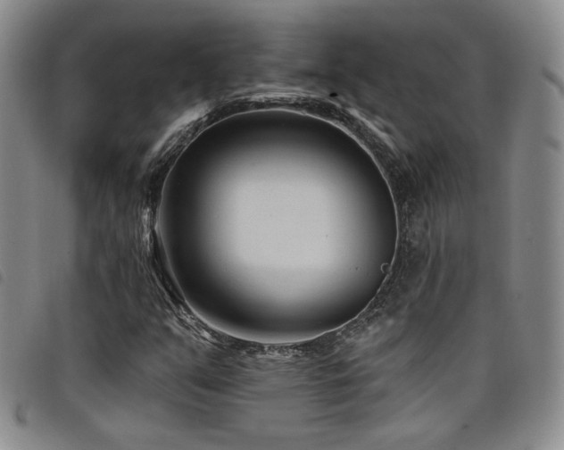 X0000098201351200804241243