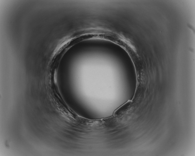 X0000098201352200804241243