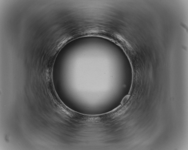 X0000098201353200804241243