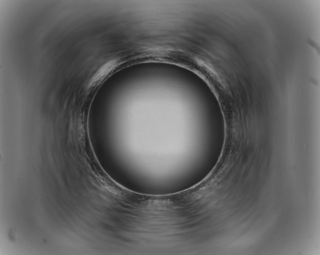 X0000098201354200804241243