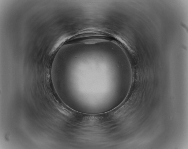 X0000098201355200804241243