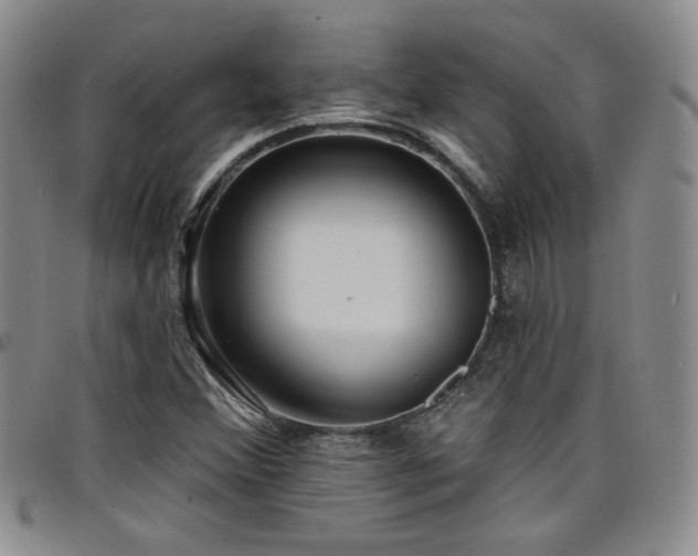X0000098201356200804241243