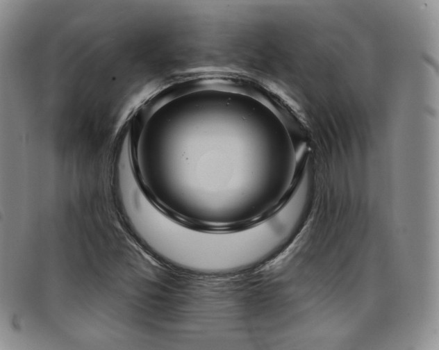 X0000098201357200804241243