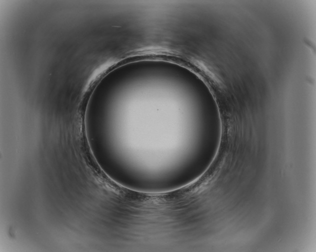X0000098201358200804241243
