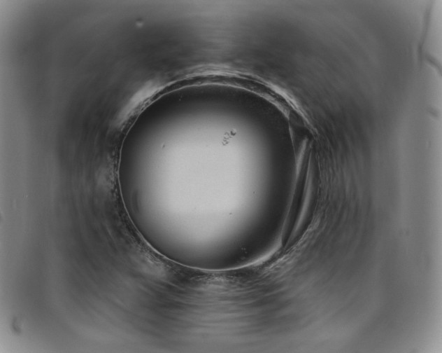 X0000098201359200804241243