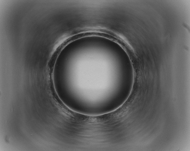 X0000098201360200804241243