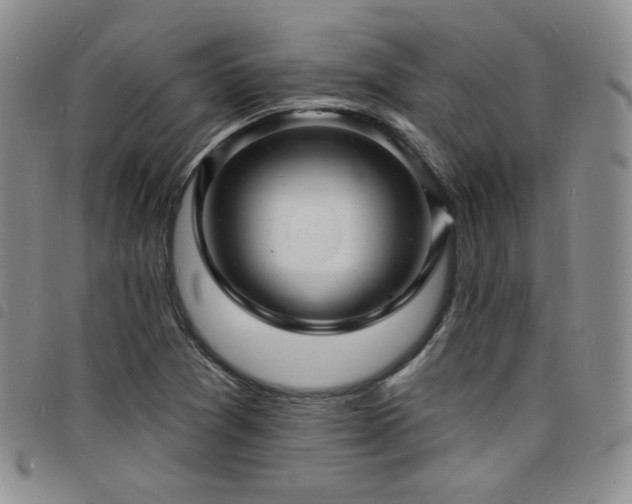 X0000098201361200804241243