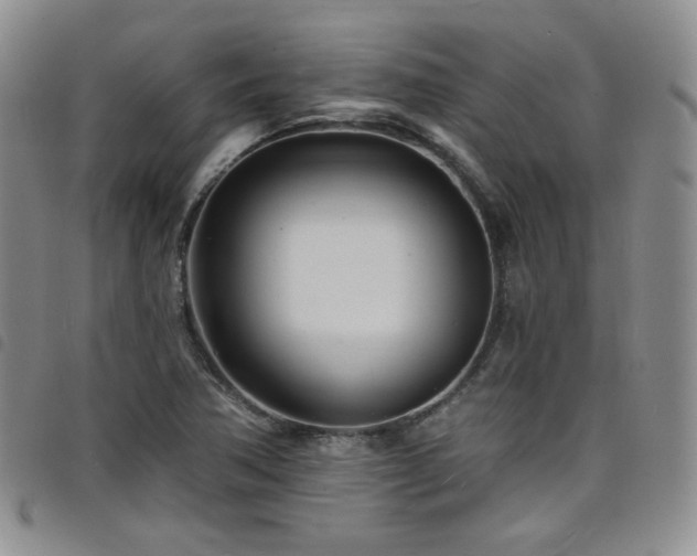 X0000098201362200804241243