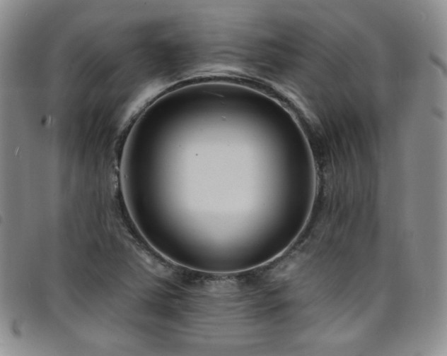 X0000098201363200804241243