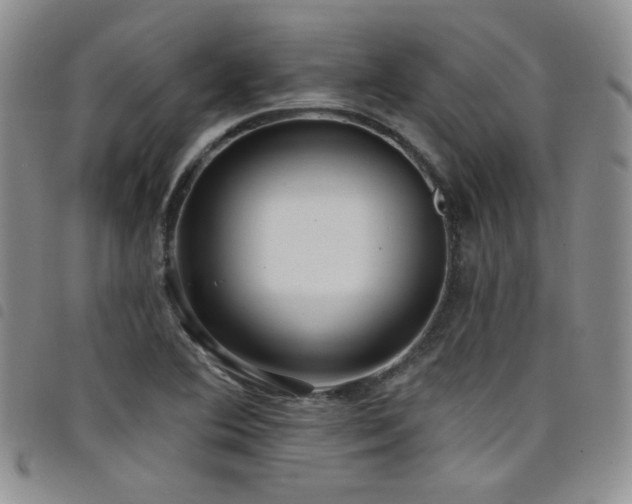 X0000098201364200804241243