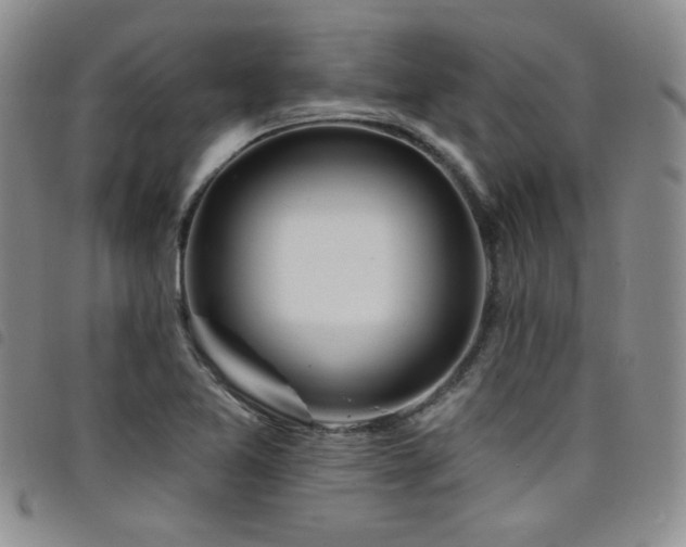 X0000098201365200804241243
