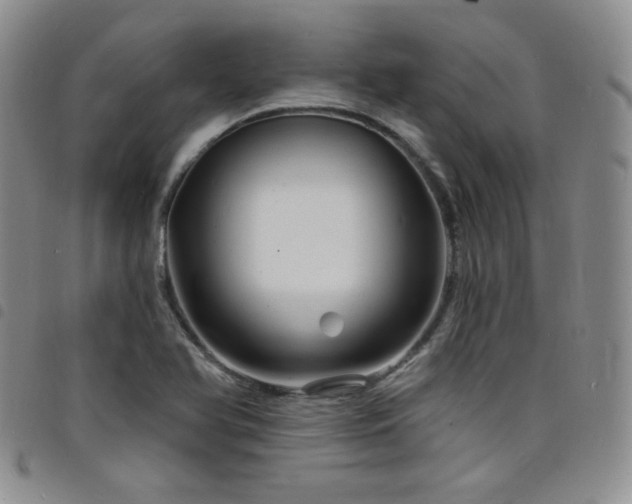 X0000098201366200804241243