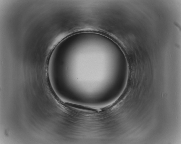 X0000098201367200804241243