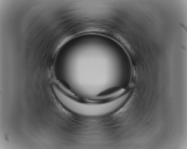 X0000098201369200804241243