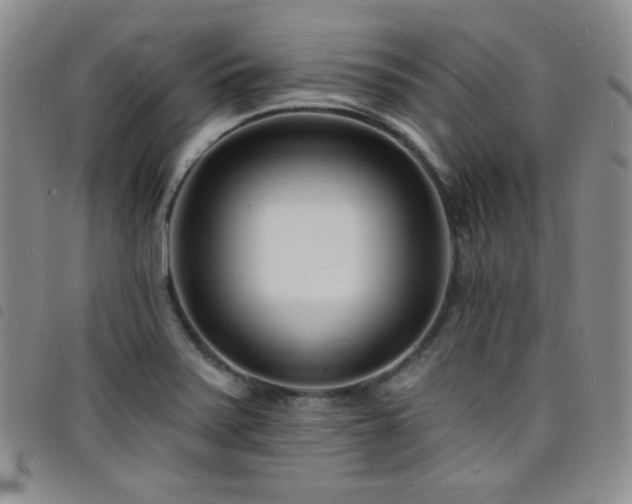 X0000098201371200804241242