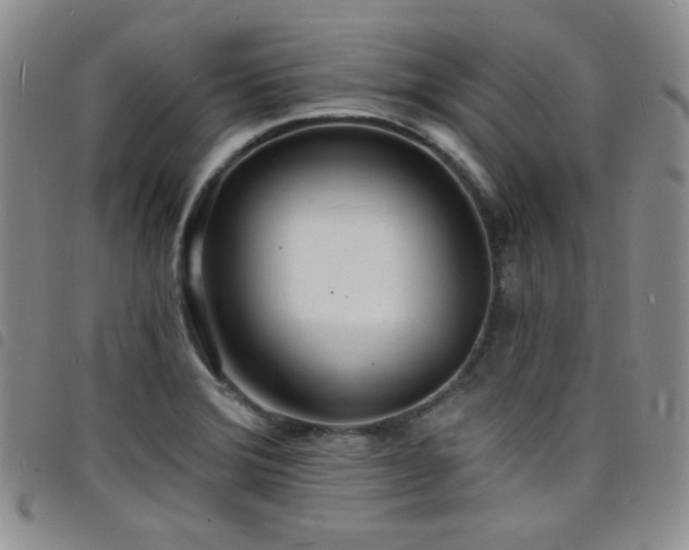 X0000098201372200804241242