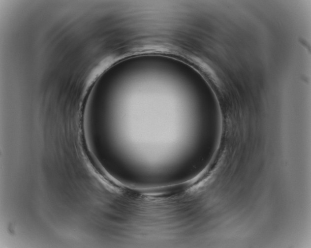 X0000098201373200804241242