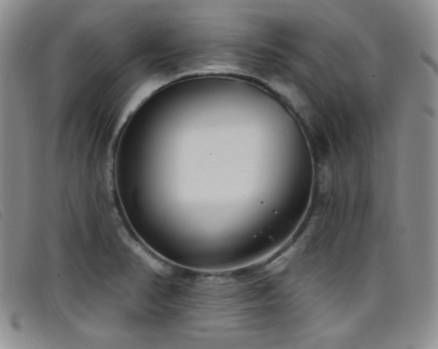 X0000098201374200804241242