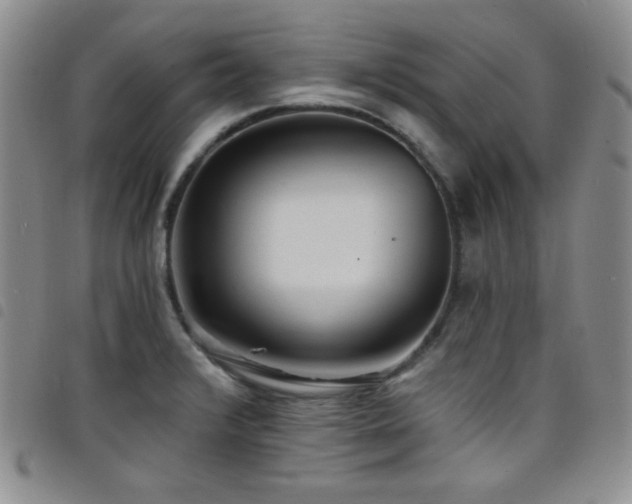 X0000098201376200804241242