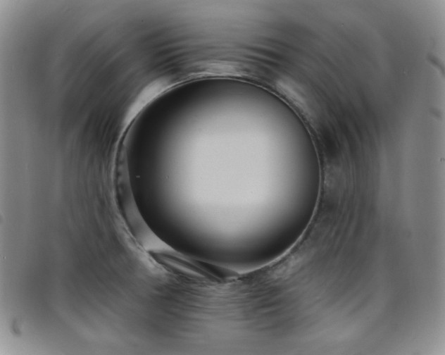 X0000098201378200804241242